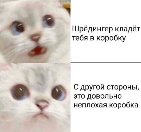 Шрёдингер кладёт тебя в коробку С другой стороны, это довольно неплохая коробка