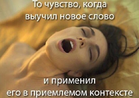 То чувство, когда выучил новое слово и применил его в приемлемом контексте