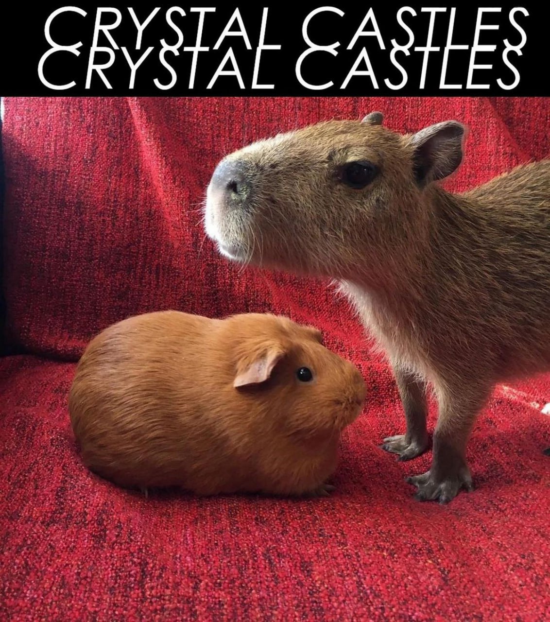 CASTLES