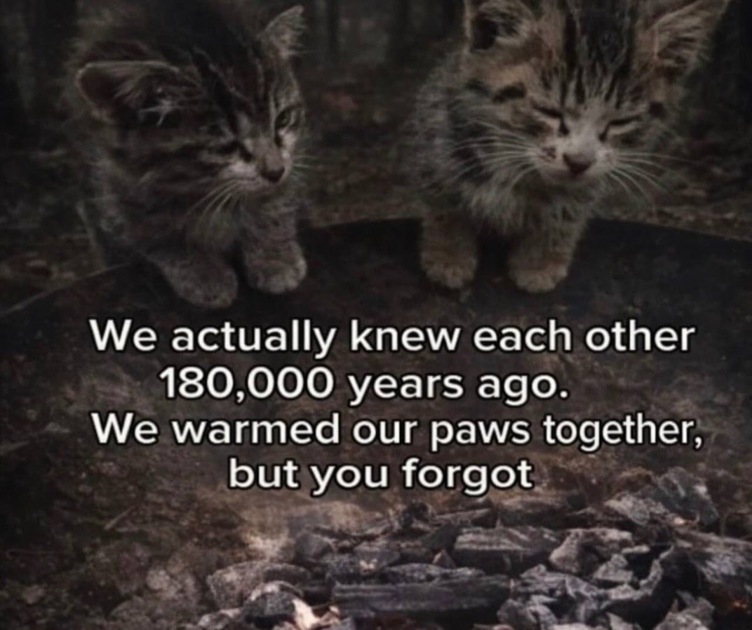 We actually knew each other 180,000 years ago. We warmed our paws together, but you forgot