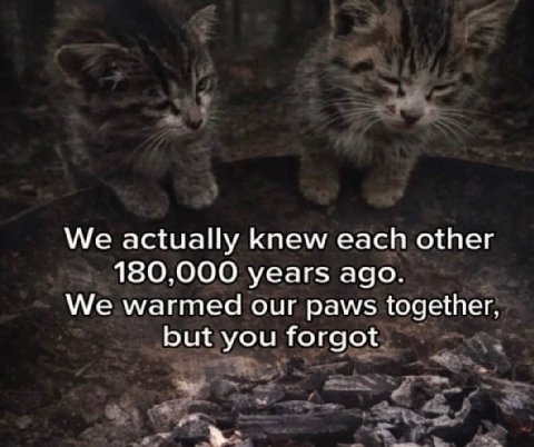 We actually knew each other 180,000 years ago. We warmed our paws together, but you forgot