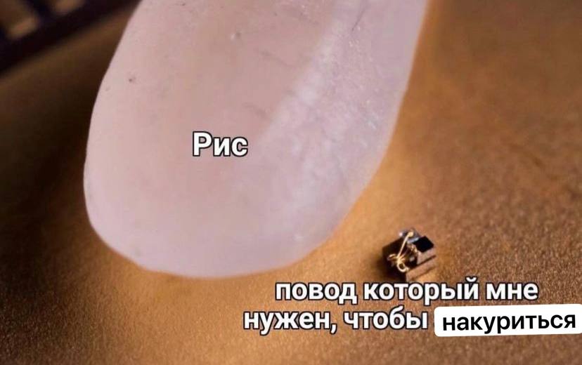 Рис повод который мне нужен, чтобы