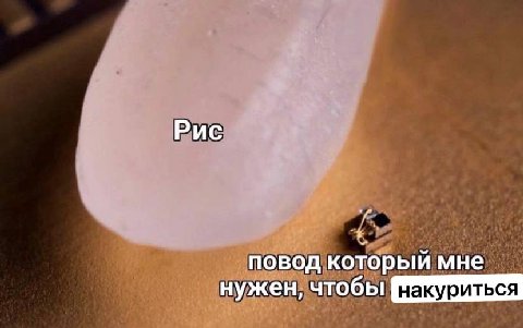Рис повод который мне нужен, чтобы