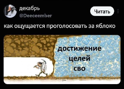 декабрь @Deeceember как ощущается проголосовать за яблоко a о достижение целей SES CBO