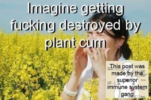Imagine getting fucking destroyed