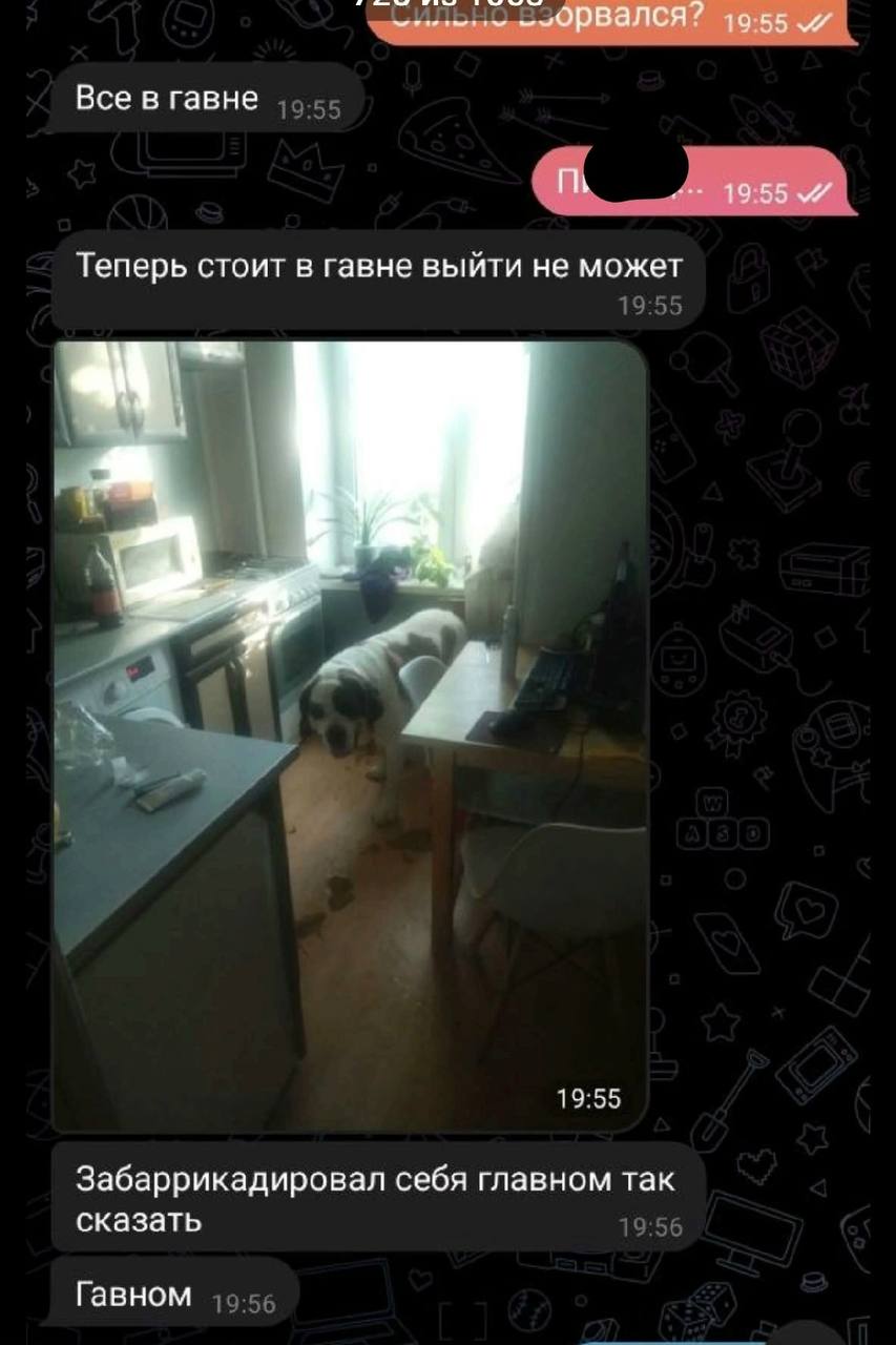 Все в гавне Теперь стоит в гавне выйти не может 19:55 19:55 Забаррикадировал себя главном так сказать 19:56 Гавном 19-56