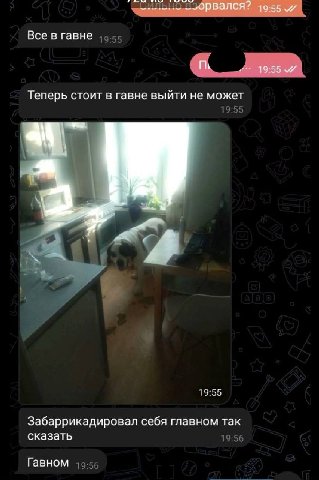 Все в гавне Теперь стоит в гавне выйти не может 19:55 19:55 Забаррикадировал себя главном так сказать 19:56 Гавном 19-56