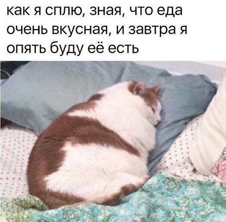 как я сплю, зная, что еда очень вкусная, и завтра я опять буду её есть ASG