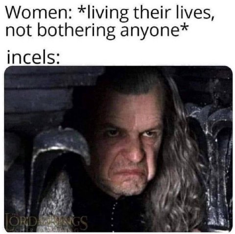 Women: *living their lives, not bothering anyone* incels: 4