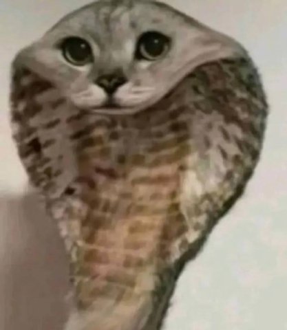 Чешуйша
