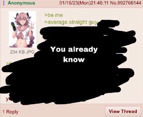 Anonymous 01/16/23(Mon)21:46:11 No.892766144 You already know 1 Reply View Thread