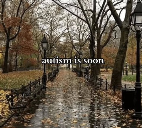 Sig autism soon