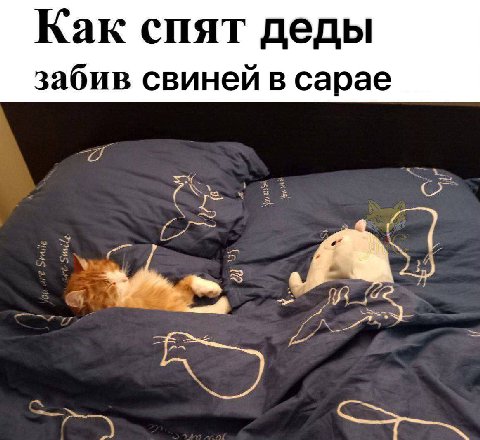 Как спят деды забив свиней в сарае