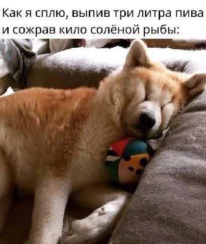Как я сплю, выпив три литра пива и сожрав кило солёной рыбы: