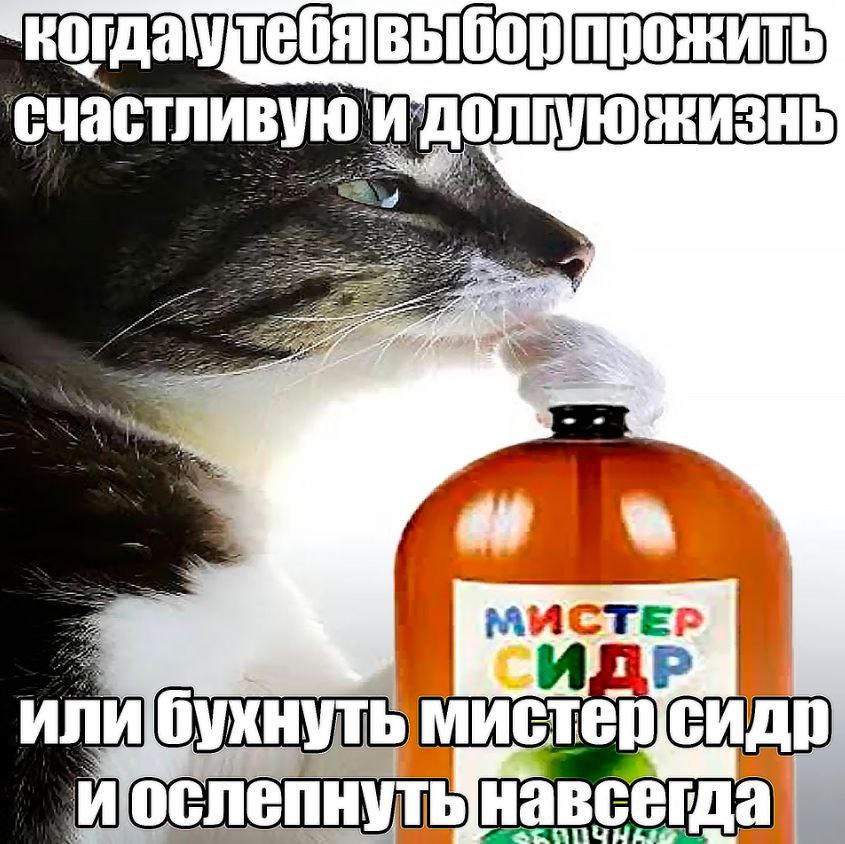 прожить счастливую MACTEP ADP ИЛИ A стер HaB shh