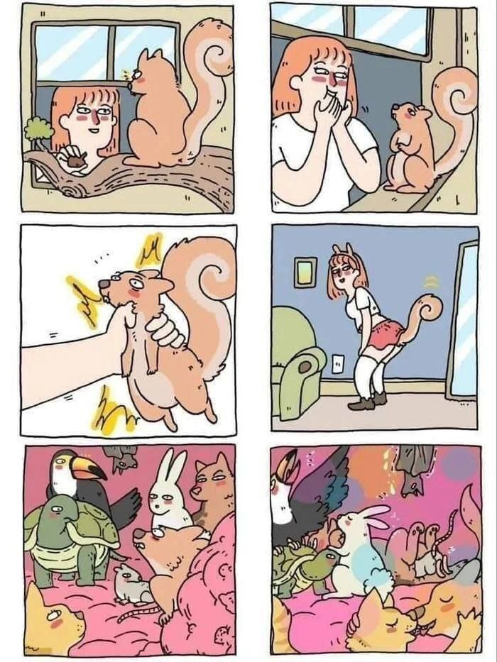 of a