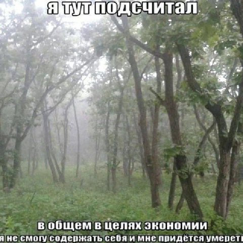 под считал 4 A] в общем в целях экономии я не смогу содержать себя и мне придется умерети