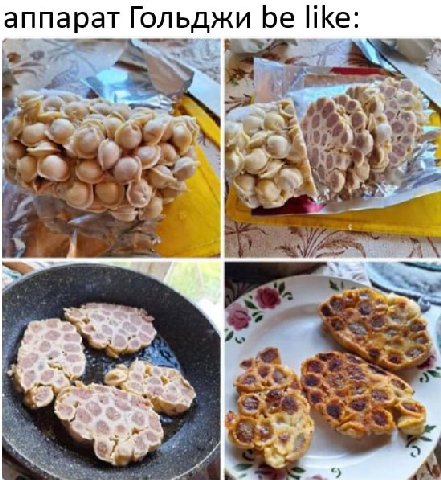 аппарат Гольджи be like: “why а