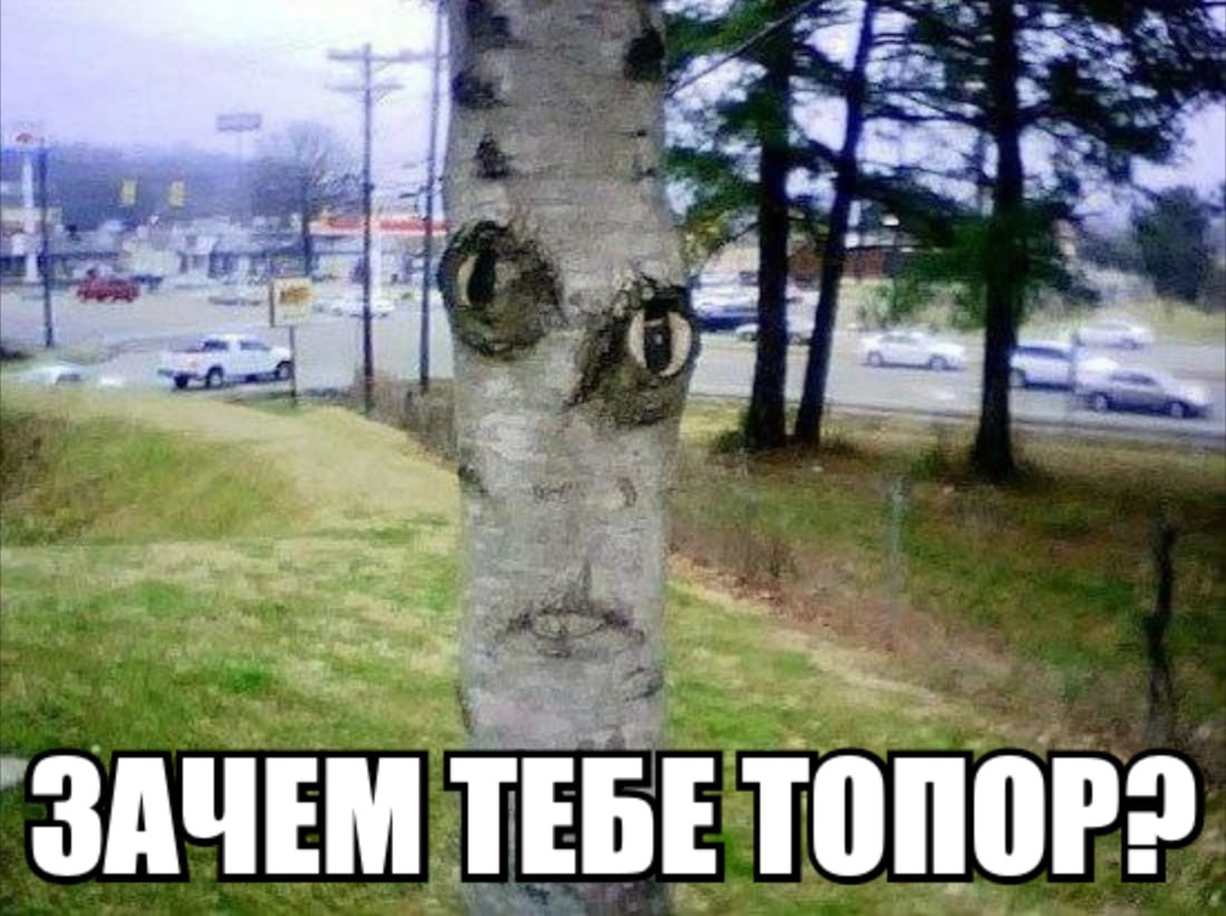 on ЗАЧЕМ TEBE