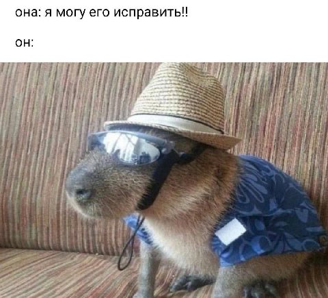 она: я могу его исправить!!