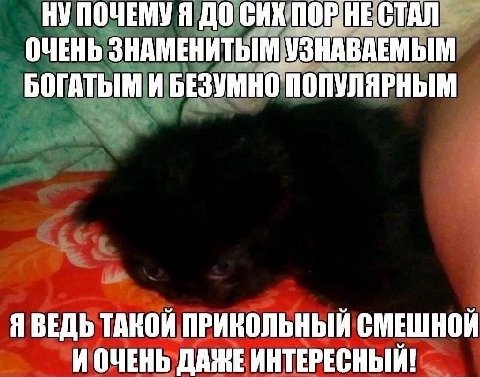 НУ ПОЧЕМУ Я ДО СИХ ПОРНЕ СТАЛ ОЧЕНЬ ЗНАМЕНИТЫМ УЗНАВАЕМЫМ БОГАТЫМ И БЕЗУМНО ПОПУЛЯРНЫМ Я ВЕДЬ ТАКОЙ ПРИКОЛЬНЫЙ СМЕШНОЙ И ОЧЕНЬ ДАЖЕ ИНТЕРЕСНЫЙ!