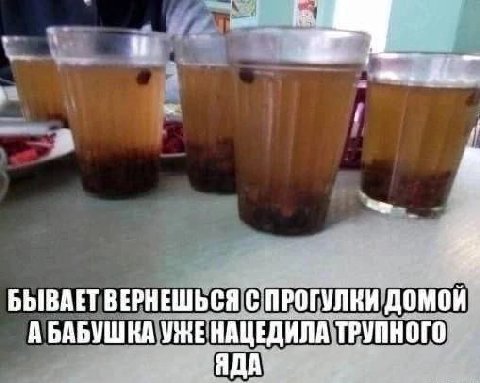 БЫВАЕТ ВЕРНЕШЬСЯ С ПРОГУЛКИ омой A УЖЕ НАЦЕДИЛА ТРУПНОГО ЯДА