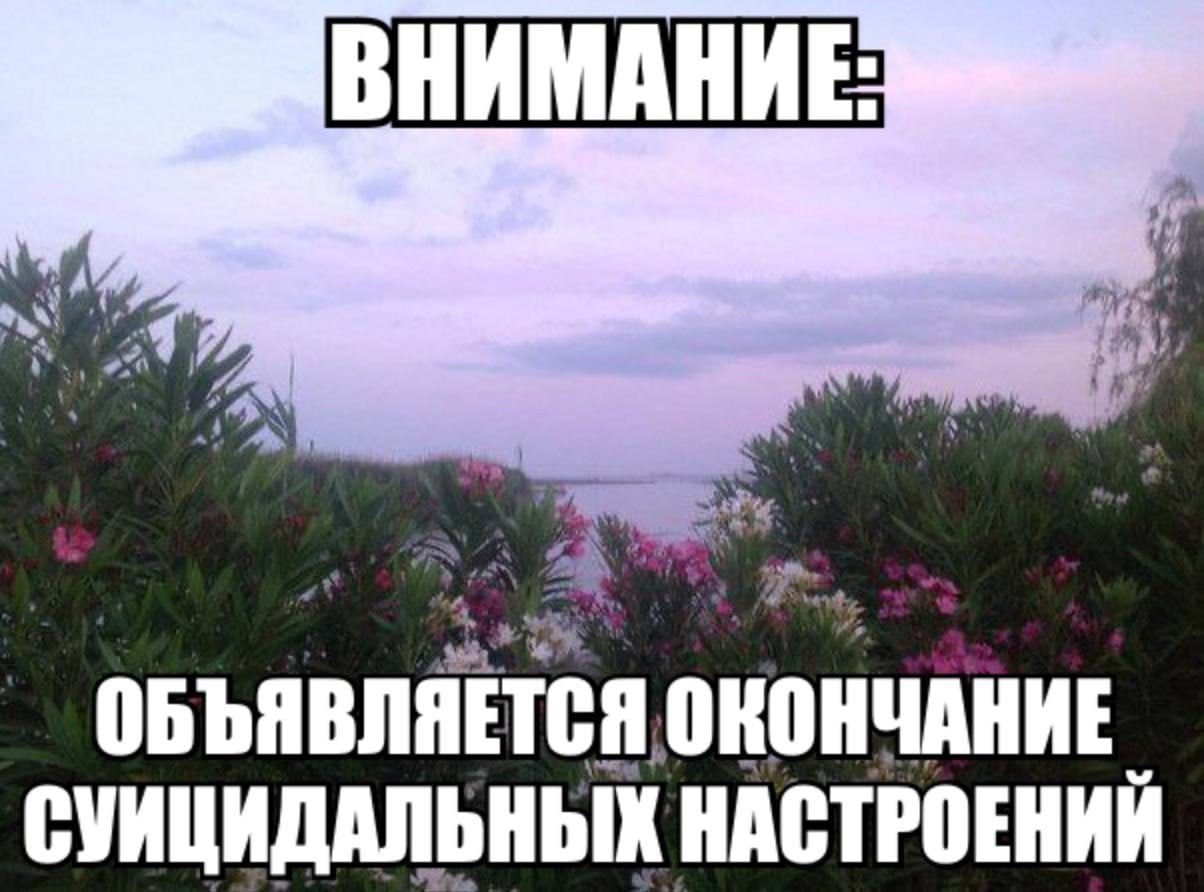 24. ‘A a ОБЪЯВЛЯЕТСЯ ОКОНЧАНИЕ СУИЦИДАЛЬНЫХ НАСТРОЕНИЙ