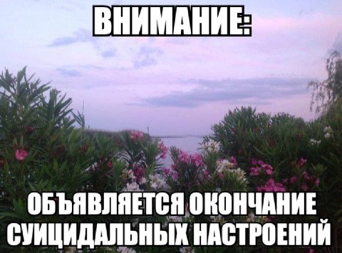 24. ‘A a ОБЪЯВЛЯЕТСЯ ОКОНЧАНИЕ СУИЦИДАЛЬНЫХ НАСТРОЕНИЙ