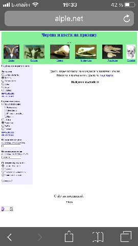 all Билайн 19:33 alple.net С. Черепа и к а продажу 4 Козлы Бараны Кроколилы Дельфины Человек Подбор по параметрам Тин кости Здесь перечислены имеющиеся в наличии кости скелеты Многое я также могу дост