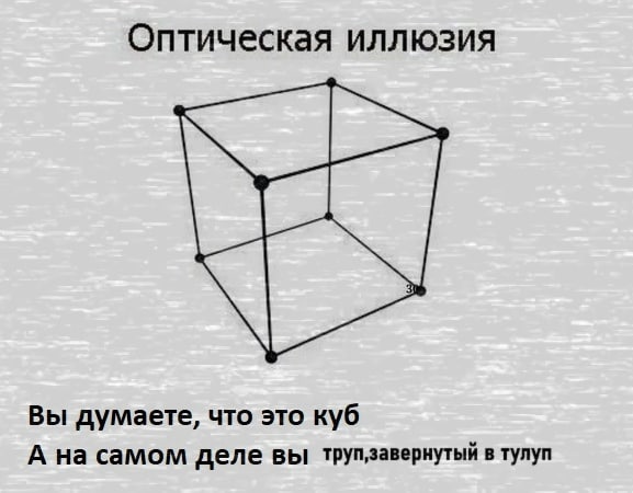 Оптическая иллюзия Вы думаете, что это куб А на самом деле вы труп‚завернутый в тулуп