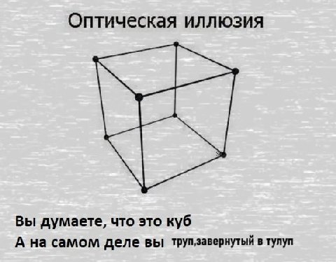 Оптическая иллюзия Вы думаете, что это куб А на самом деле вы труп‚завернутый в тулуп
