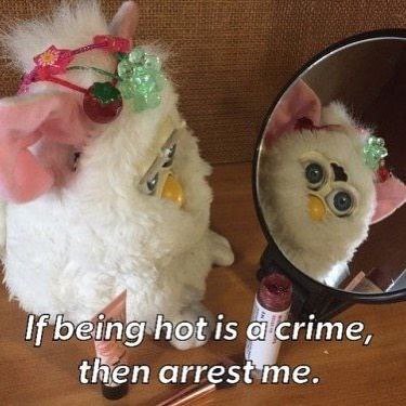 hot 15 then arrest me.