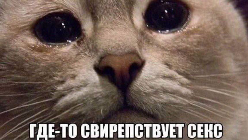 ГДЕ-ТО СВИРЕПСТВУЕТ СЕКС