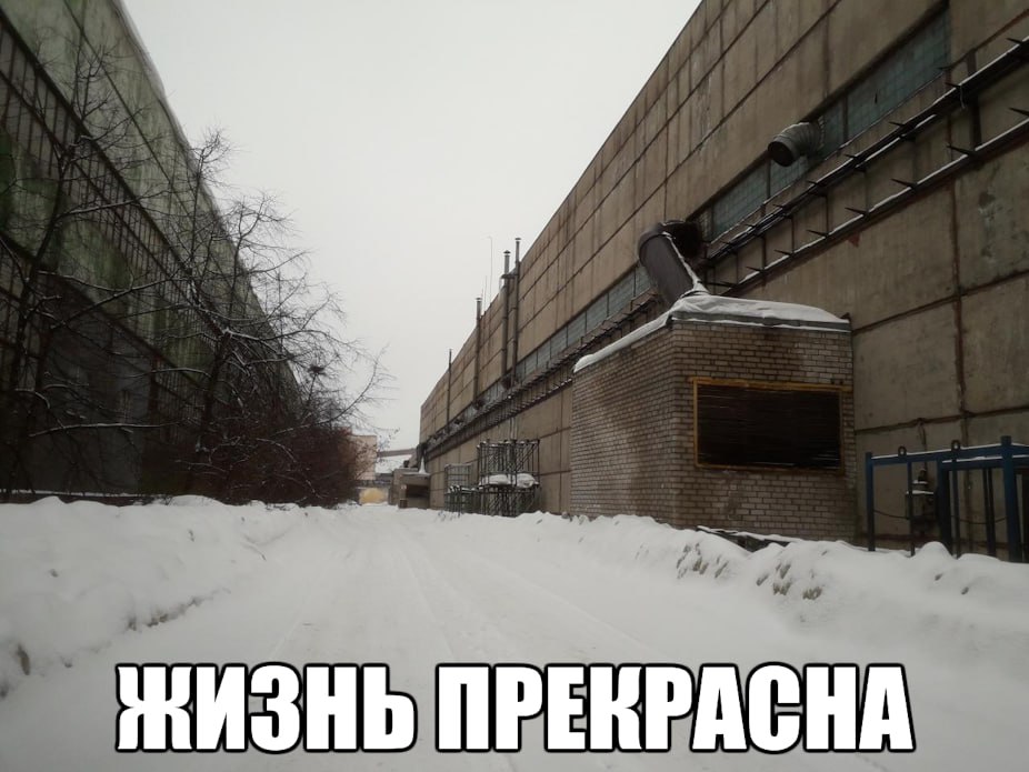 ЖИЗНЬ ПРЕКРАСНА