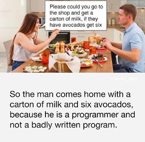 Please could you to the shop and а carton of milk, if they get six So the man comes home with a carton of milk and six avocados, because he is a programmer and not a badly written program.