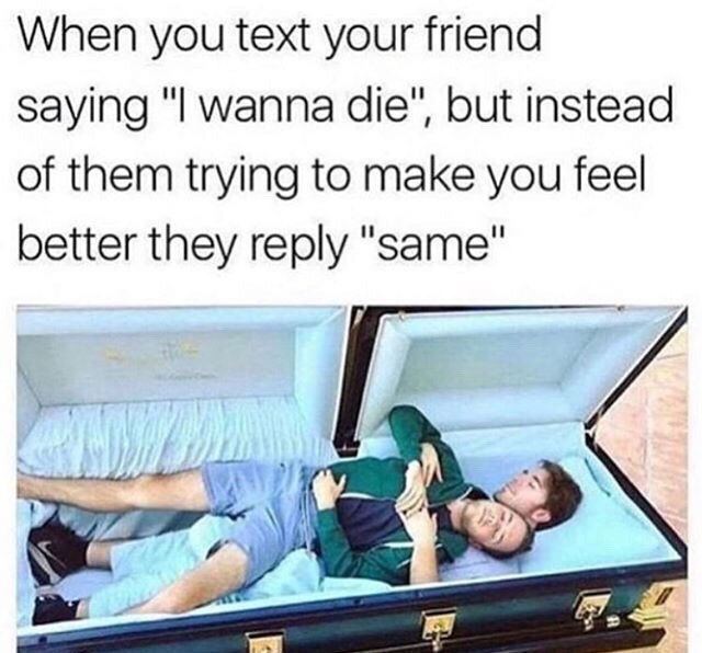When you text your friend saying wanna die", but instead of them trying to make you feel better they reply "same"