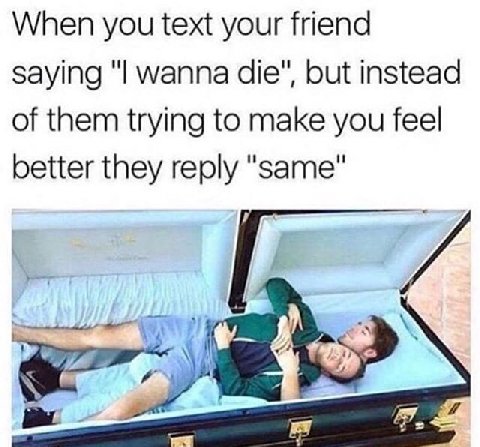 When you text your friend saying wanna die", but instead of them trying to make you feel better they reply "same"