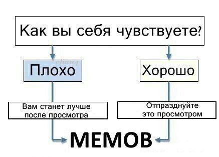 Как вы себя чувствуете? Плохо после просмотра это просмотром