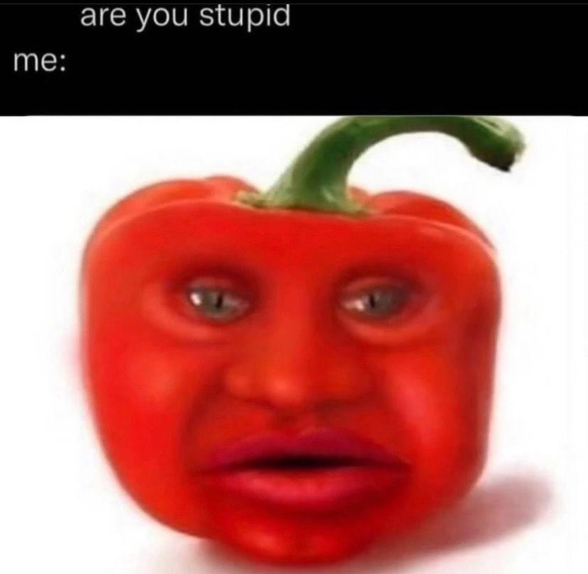are you stupid me: