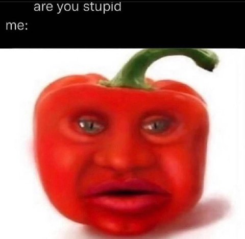 are you stupid me: