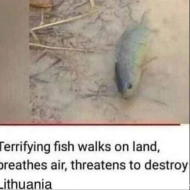 errifying fish walks on land, air, threatens to destroy huani