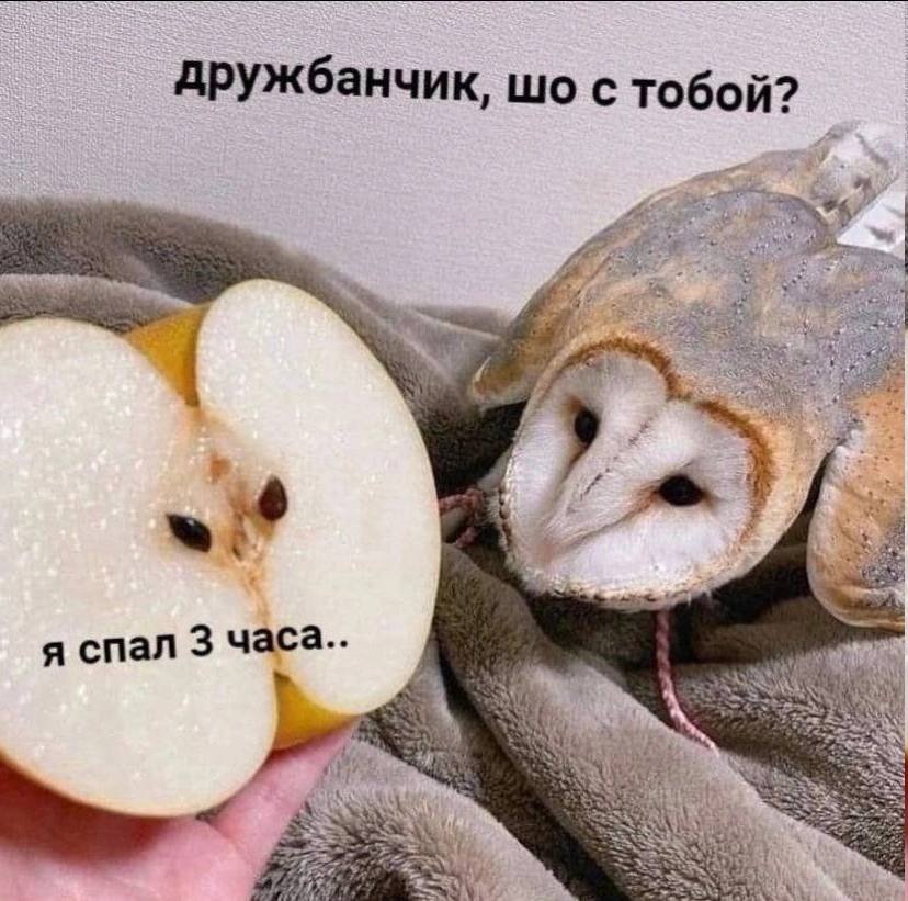 дружбанчик, с тобой? обой: vay 5 3 А 4 и 3 я спал 3 часа.. at