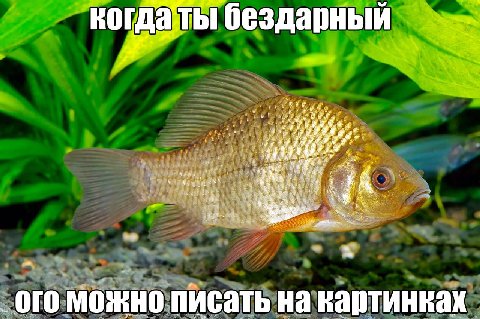 когдаты бездарный 3 A ого можно писать на картинках