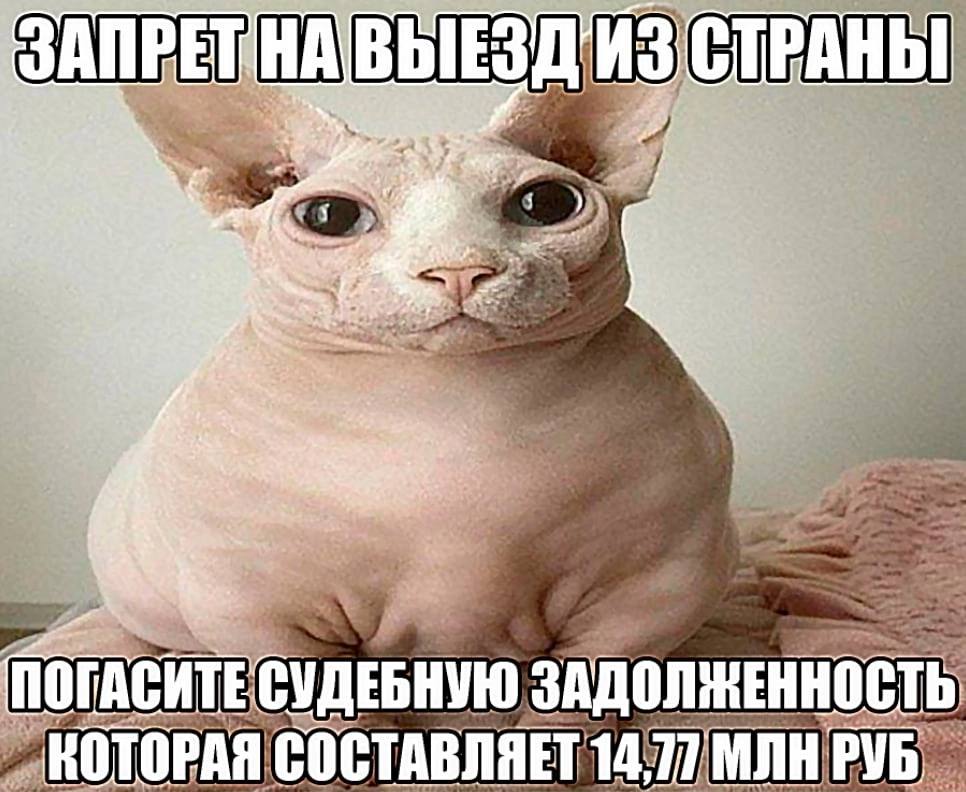 BE А AATL ПОГАСИТЕ СУДЕБНУЮ ЗАДОЛЖЕННОСТЬ 7 КОТОРАЯ СОСТАВЛЯЕТ 14,77 РУБ.