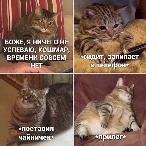 БОЖЕ, Я НИЧЕГО НЕ УСПЕВАЮ, КОШМАР, ВРЕМЕНИ СОВСЕМ «сидит, залипает НЕТ в *поставил чайничек» *прилёг»