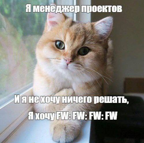 проект HE ничего решать Я