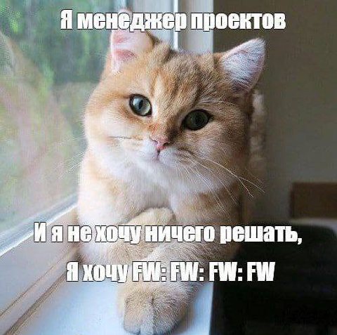 проект HE ничего решать Я