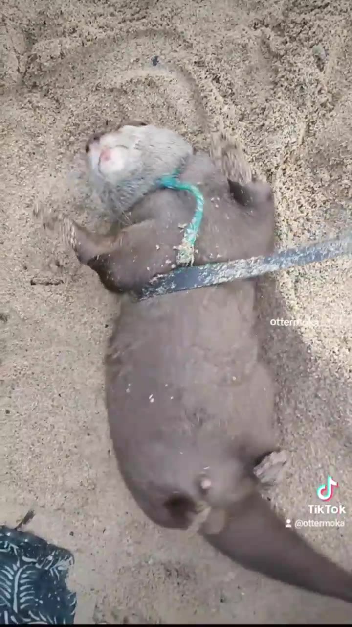Полнейшая раскайфовка 🙏