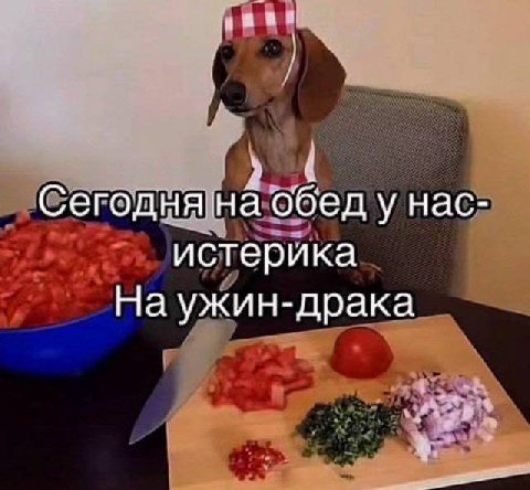 Сегодня обед у нас- истерика На ужин-драка