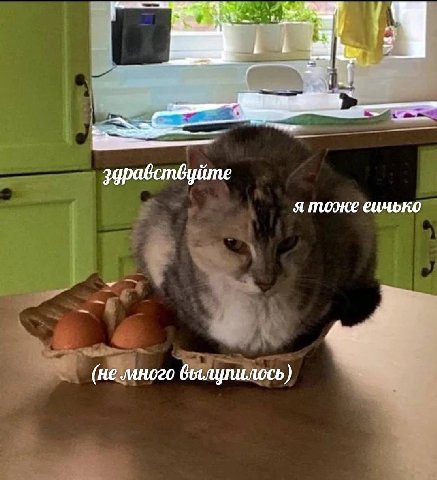 a здравствуйте я тоже еичько (не много вылупилось)